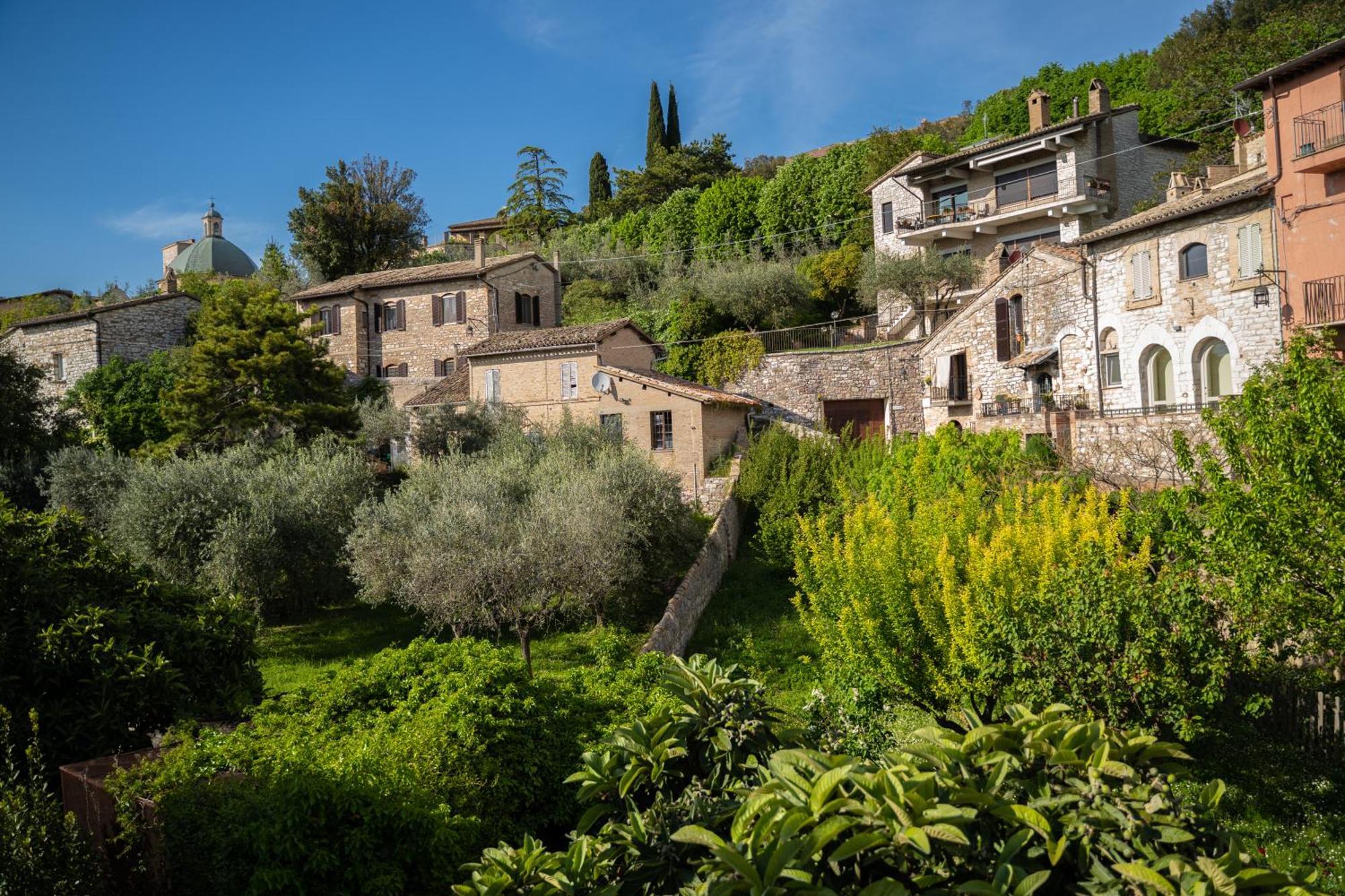 Hotel Belvedere Assisi Exteriér fotografie