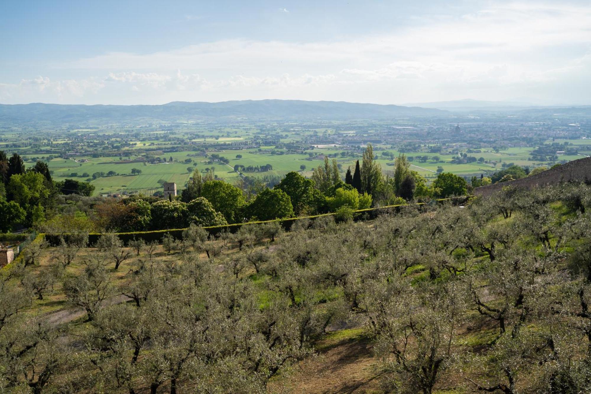 Hotel Belvedere Assisi Exteriér fotografie